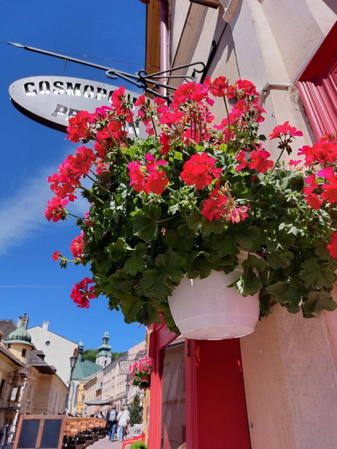 Penzion Cosmopolitan Ii. Banská Štiavnica Εξωτερικό φωτογραφία