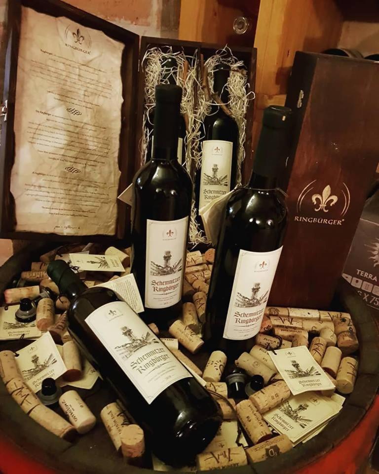 Penzion Cosmopolitan Ii. Banská Štiavnica Εξωτερικό φωτογραφία